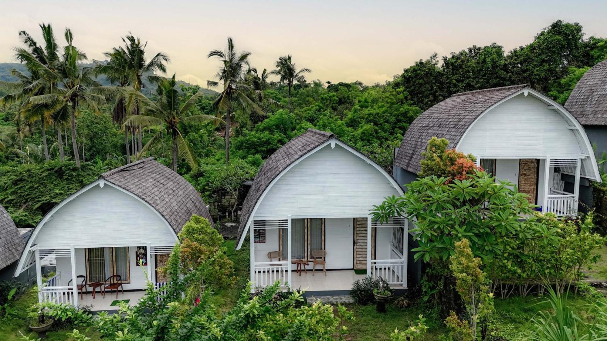 The Kleep Jungle Resort