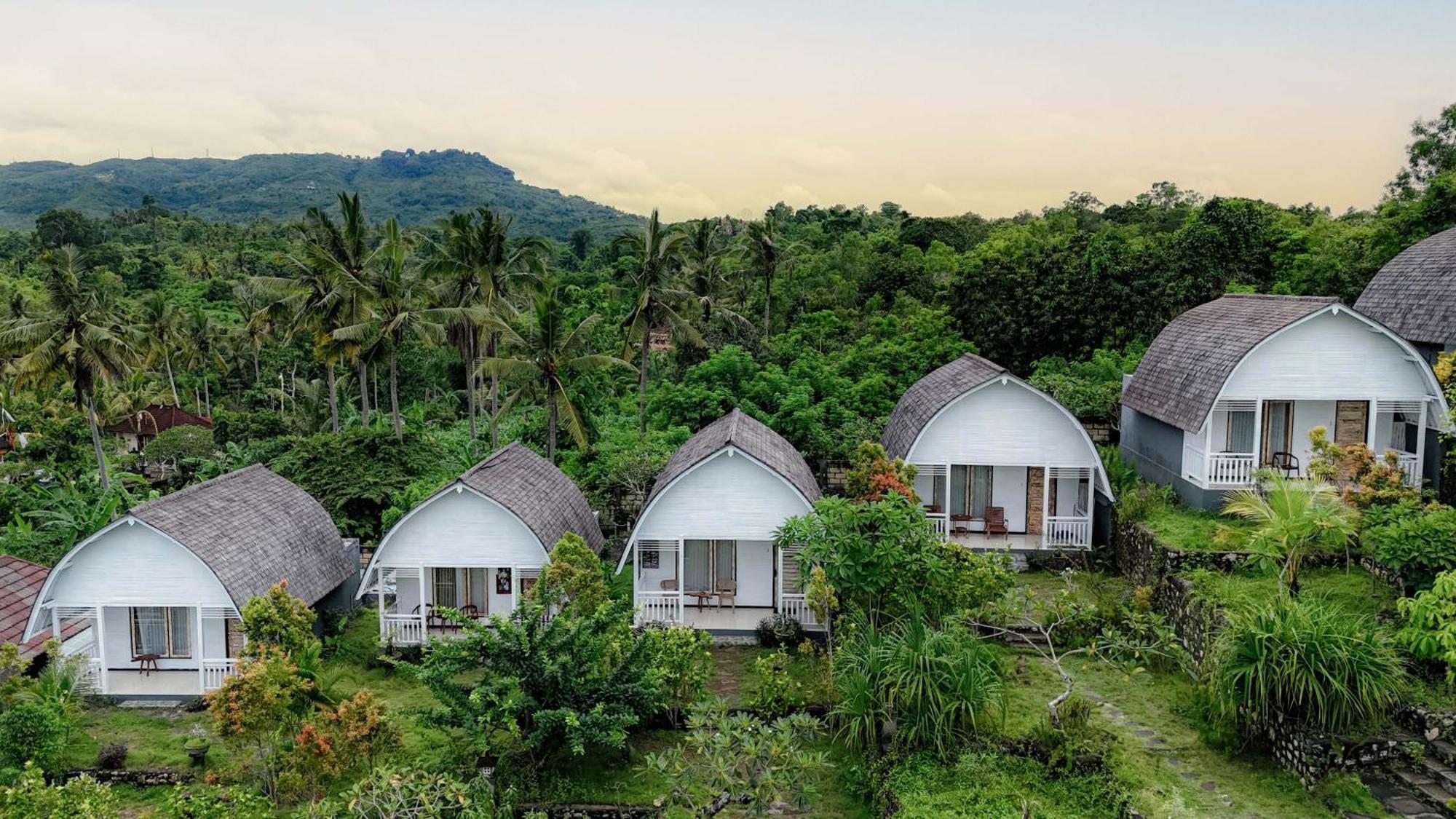 Resort The Kleep Jungle